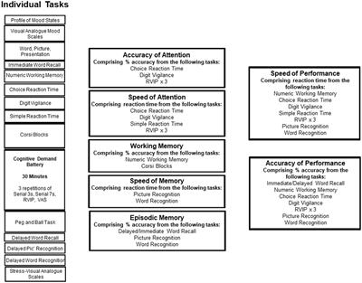 Acute effects of mango leaf extract on cognitive function in healthy adults: a randomised, double-blind, placebo-controlled crossover study